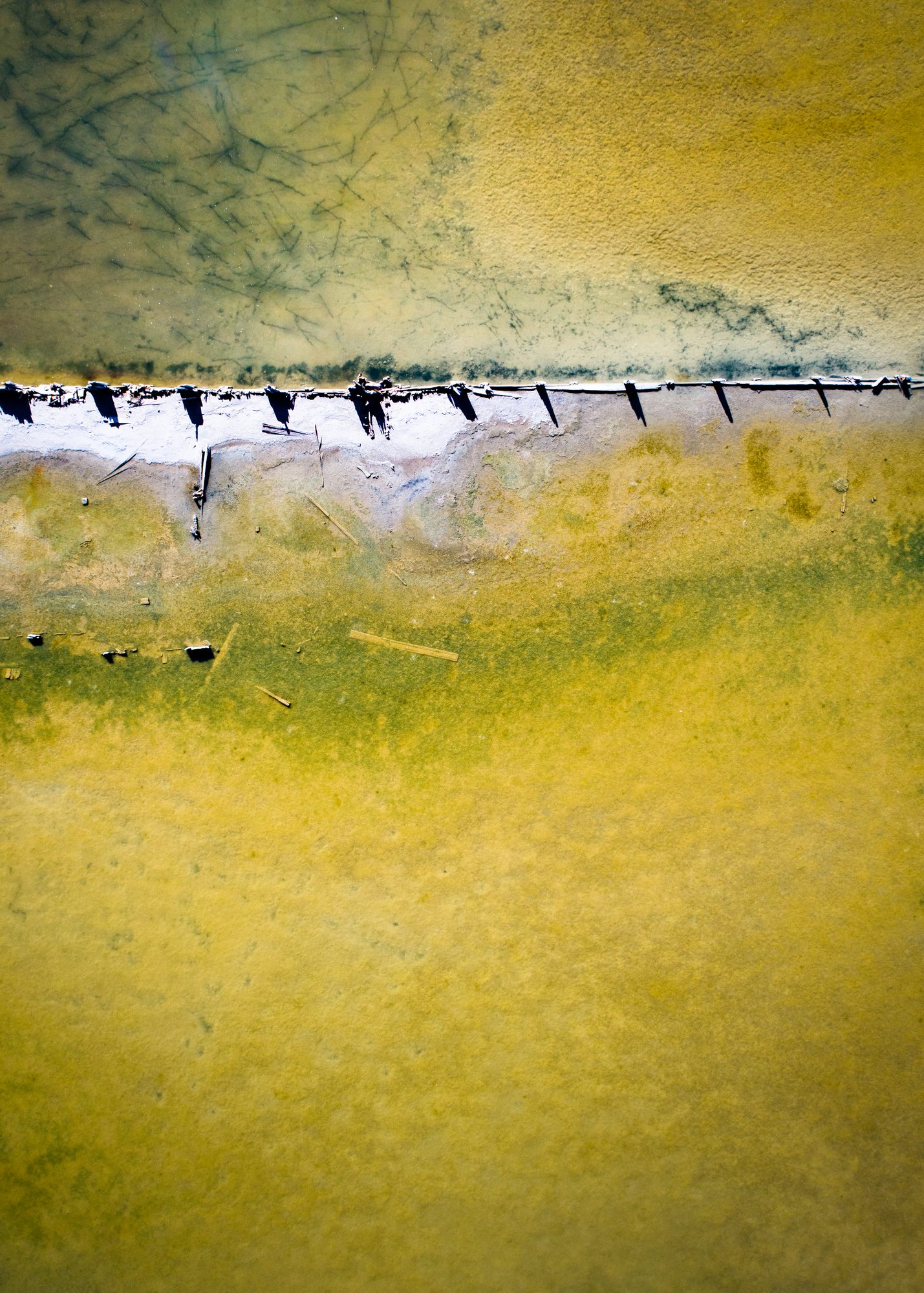Citron Tide